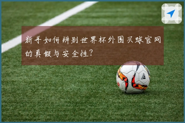 新手如何辨别世界杯外围买球官网的真假与安全性？