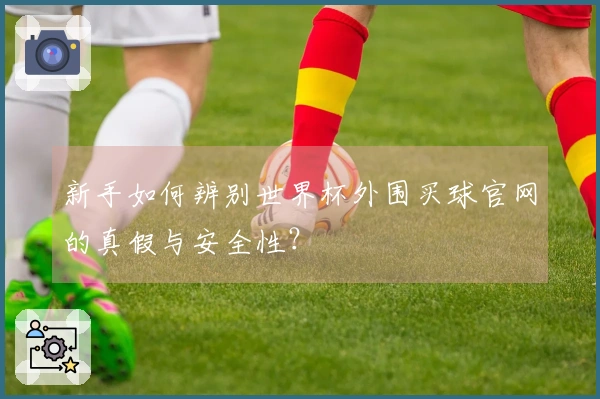新手如何辨别世界杯外围买球官网的真假与安全性？