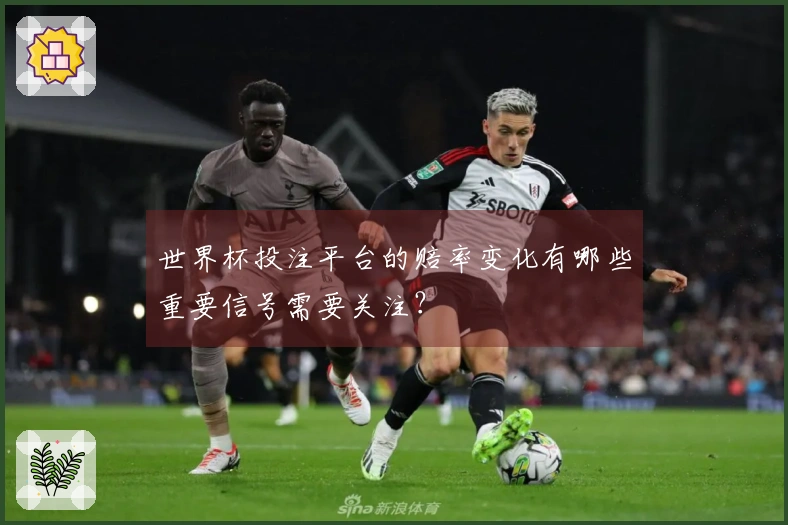 世界杯投注平台的赔率变化有哪些重要信号需要关注？