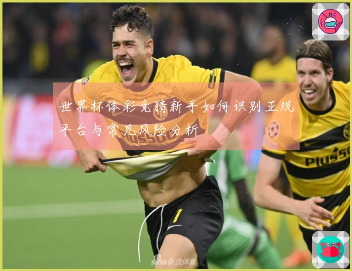 世界杯体彩竞猜新手如何识别正规平台与常见风险分析
