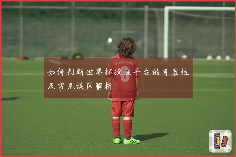 如何判断世界杯投注平台的可靠性及常见误区解析