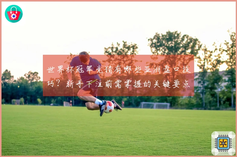 世界杯冠军竞猜有哪些亚洲盘口技巧？新手下注前需掌握的关键要点