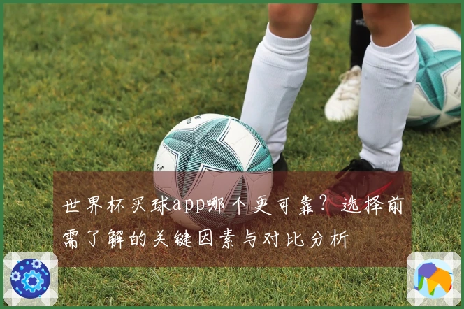 世界杯买球app哪个更可靠？选择前需了解的关键因素与对比分析