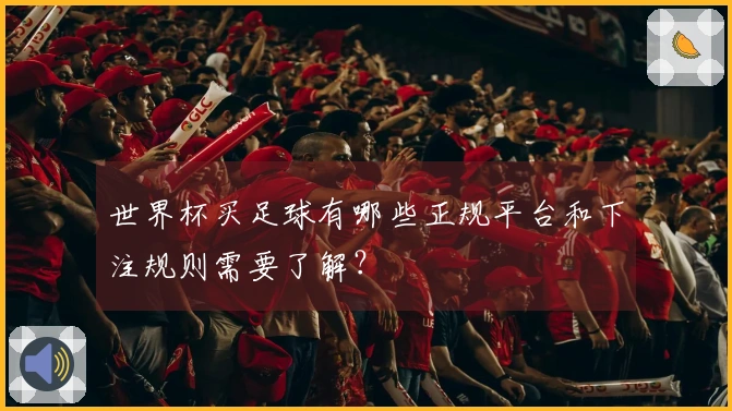 世界杯买足球有哪些正规平台和下注规则需要了解？