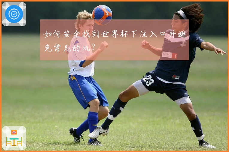 如何安全找到世界杯下注入口并避免常见的坑？