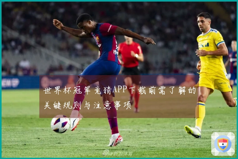 世界杯冠军竞猜APP下载前需了解的关键规则与注意事项