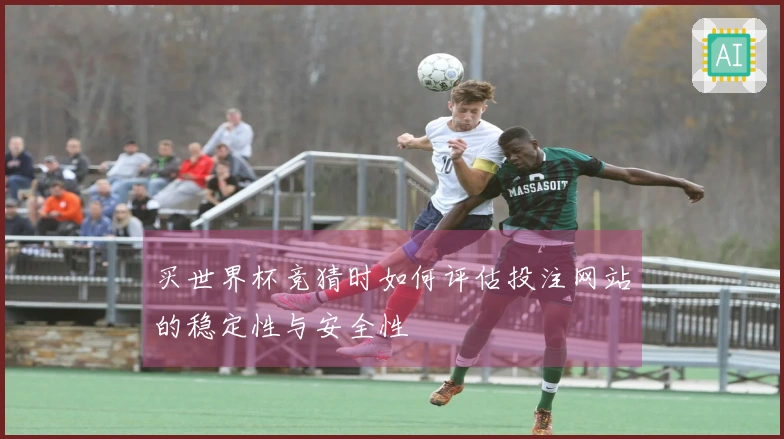 买世界杯竞猜时如何评估投注网站的稳定性与安全性