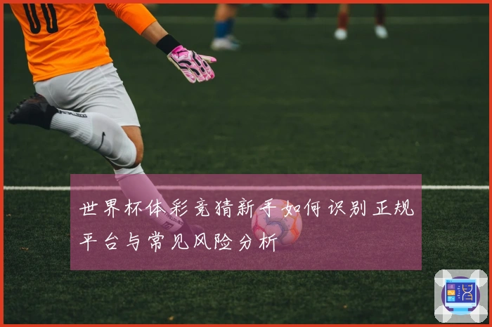 世界杯体彩竞猜新手如何识别正规平台与常见风险分析